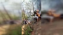 Son dakika gündem: Tarsus ilçesinde iki noktada çıkan orman yangınları kontrol altına alındı