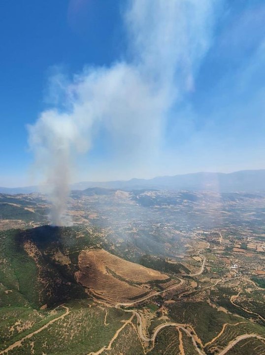 Son dakika haber: Ödemiş ilçesinde çıkan orman yangınına müdahale ediliyor