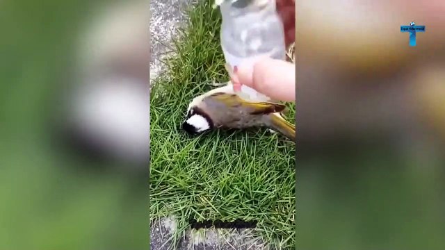 TOP 30 INCREDIBLE MIND BLOWING MOMENTS CAUGHT ON CAMERA!.compressed