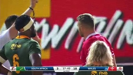South Africa v Wales highlights