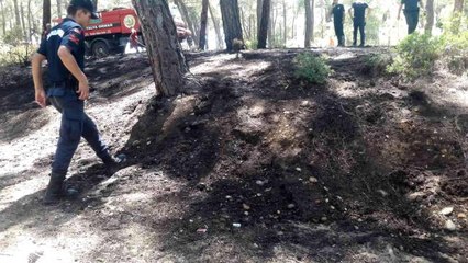 Antalya'da ormanlık alanda çıkan yangında kibrit kutuları bulundu