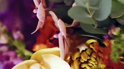 NATALIA E GUSTAVO - TEASER