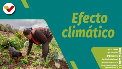 Punto Verde | El impacto del cambio climático en las mujeres