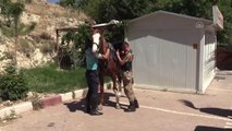Son dakika: Malatya'da atlı jandarma timi görevde