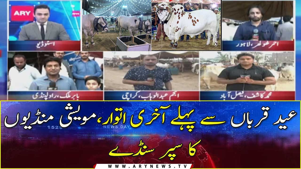 Cattle markets brimming with sacrificial animals ahead of Eid