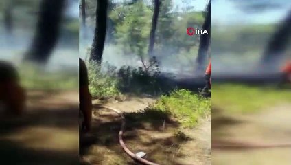 Antalya’daki orman yangınına ilişkin flaş gelişme! Bakın alanda ne bulundu