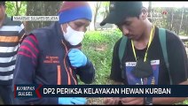 DP2 Kota Makassar Periksa Kelayakan Hewan Kurban
