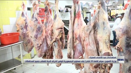 وزارة التموين: سيتم إقامة 39 شادرا على مستوى الجمهورية لتوفير الخراف الحية لتغطي جميع المحافظات