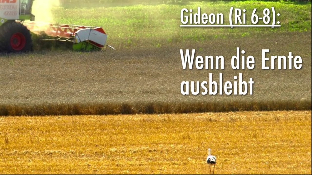 Wenn die ernte ausbleibt