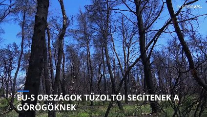 EU-segítség Görögországnak az erdőtüzek megfékezéséhez