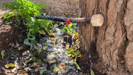 Chilean school recycles water