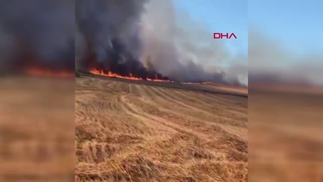 TEKİRDAĞ'DA 100 DÖNÜM BUĞDAY TARLASI YANDI