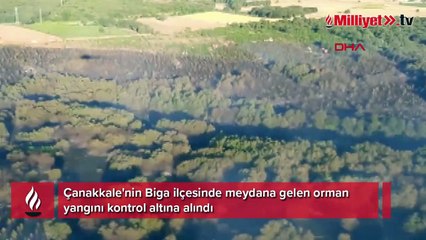 Çanakkale'deki orman yangını kontrol altına alındı