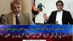 "Even a rooster gets up in Fajar because ..., " Shahbaz Gill critisizes Shehbaz Sharif