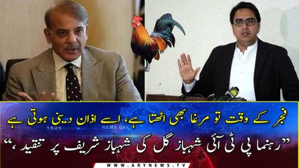 "Even a rooster gets up in Fajar because ..., " Shahbaz Gill critisizes Shehbaz Sharif