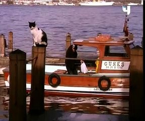 مسلسل خريف الحب الحلقة 47 كاملة