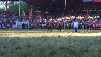 Kırkpınar'ın Şampiyonu Cengizhan Şimşek Oldu