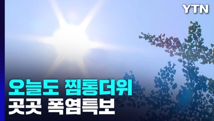 [날씨] 오늘 무더위 속 소나기...제주·남해안 비 / YTN