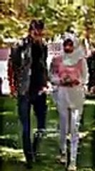 y2mate.com - حالات واتس اب  لايك فولو أكسبلور مصمم مصممين مصممينفيديوهات تصميمفيديوهات_v144P