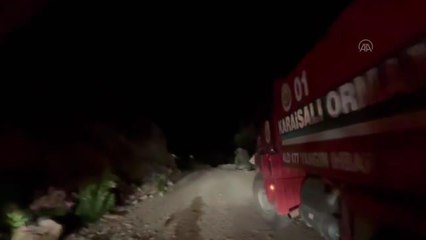 Adana'da ormanlık alanda yangın çıktı