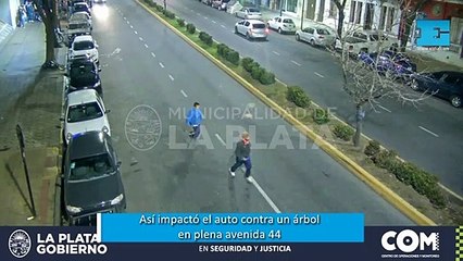 Así impactó el auto contra un árbol en plena avenida 44