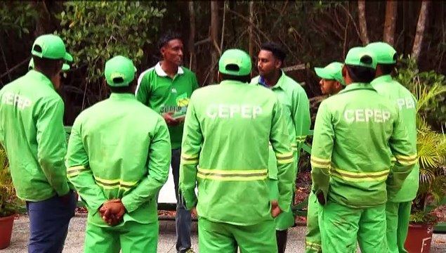 Contract CEPEP Workers Terminated