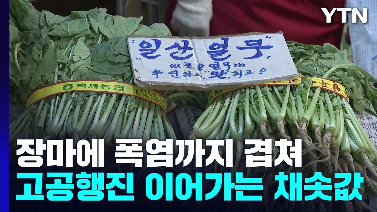 장마에 폭염까지 겹쳐 고공행진 이어가는 채솟값 / YTN