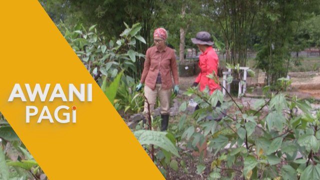 AWANI Pagi: Kelebihan pertanian kendiri