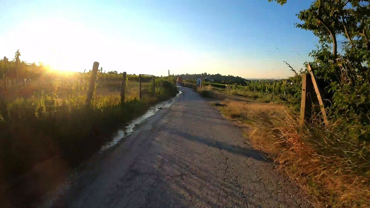Wien Döbling am Rad: Neustift am Walde, Mitterwurzerweg