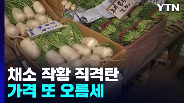 장마·폭염에 맥 못 추는 채소...작황 악화에 채솟값 또 급등 / YTN