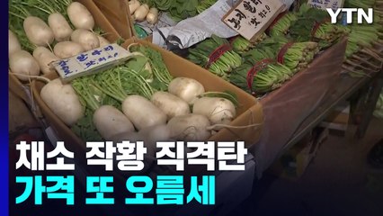 장마·폭염에 맥 못 추는 채소...작황 악화에 채솟값 또 급등 / YTN