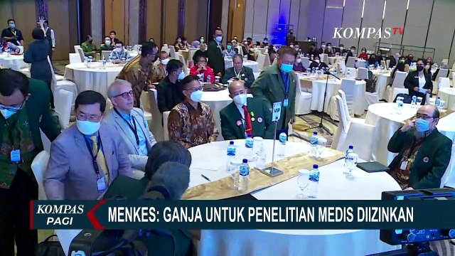 Ganja untuk Keperluan & Urgensi Medis? Menkes Budi Gunadi Sadikin: Boleh, Asal Tidak Dikonsumsi