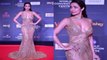 Malaika Arora Attended Red Carpet for Miss India Grand Finale 2022 |FilmiBeat *News