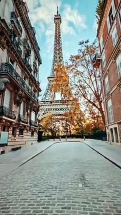 WAIT FOR IT  This Pixel 6 Pro feature is so cool!