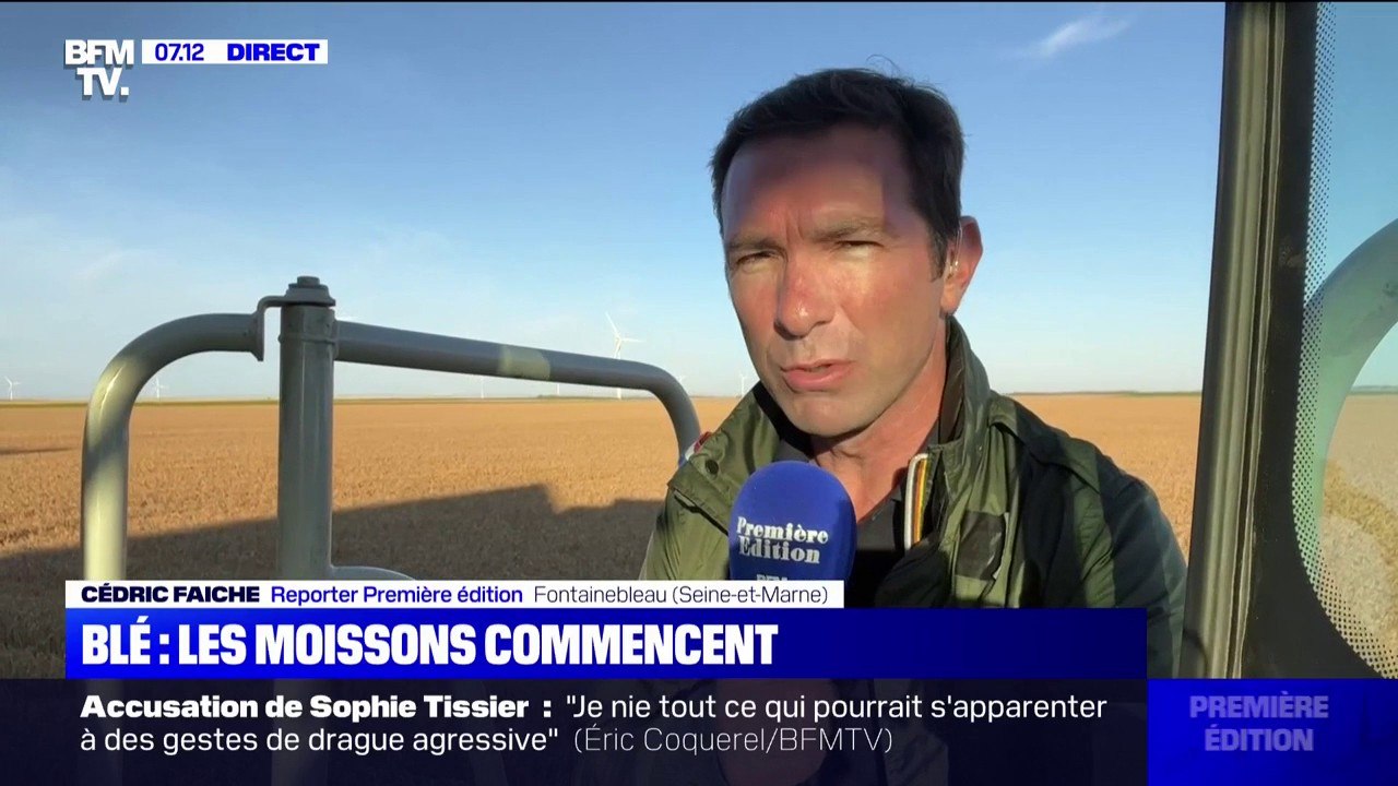 Après les records de chaleur, les moissons de blé ont commencé en avance