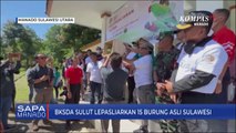 BKSDA Sulut Lepasliarkan 15 Burung Asli Sulawesi