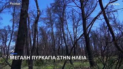 Μάχη με τις φλόγες στην Ηλεία - Εκκενώσεις χωριών