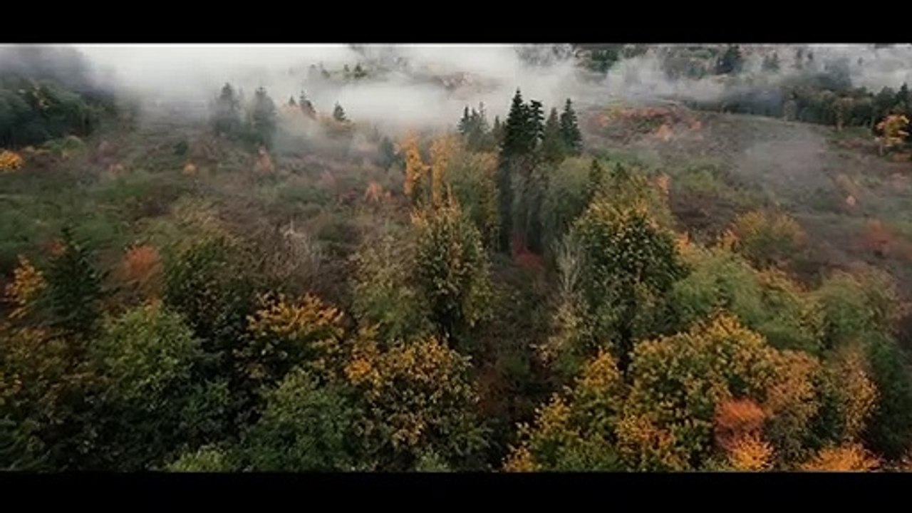 The Most Dangerous Game Trailer OV