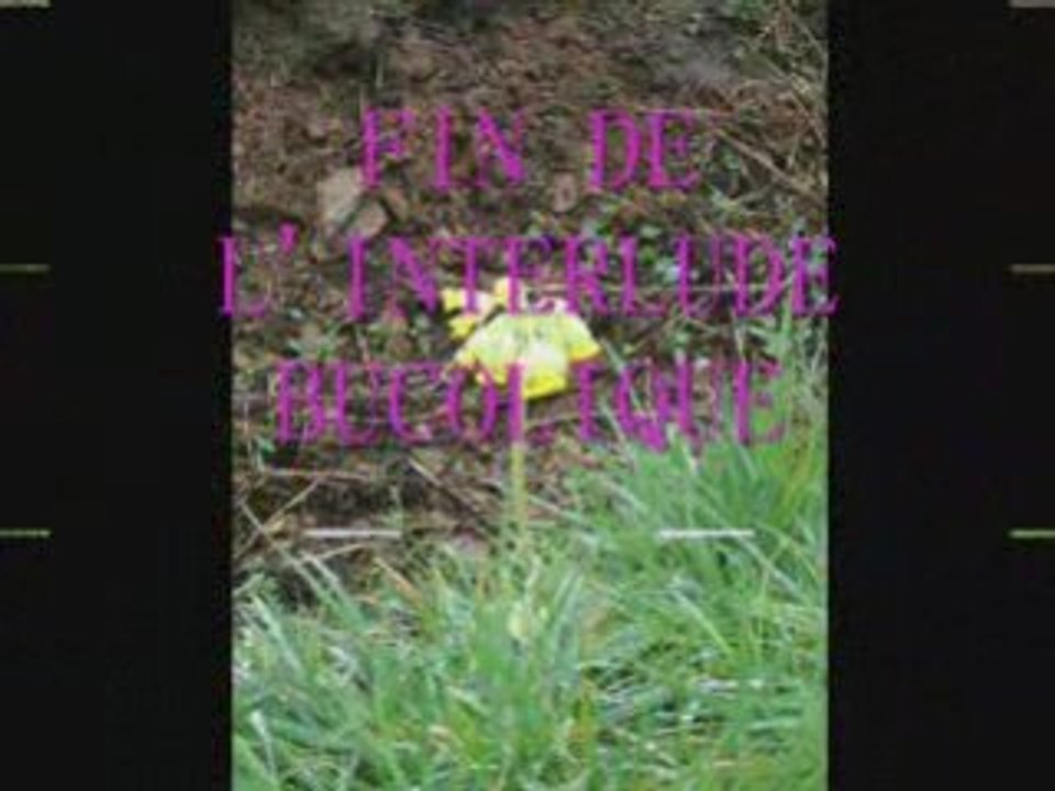 Ancenis 20080309