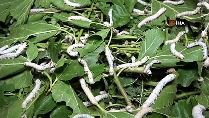 İki kadın arkadaş başladı: 45 günde 34 bin lira kazanacaklar