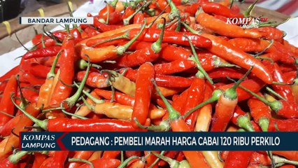 Pedagang: Pembeli Marah Cabai Tembus 120 Ribu/Kg