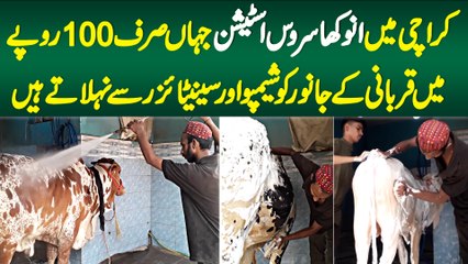 Karachi Ka Anokha Service Station Jahan Qurbani Ke Janwaron Ki Shampo Se Service Ki Jati Hai
