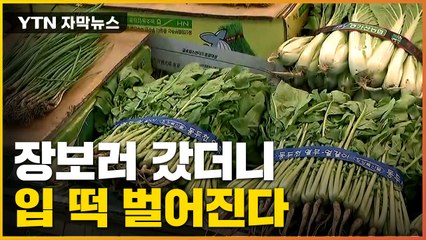 [자막뉴스] "도저히 살 수 없는 수준"...채솟값 또 오른다? / YTN