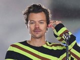 Nach Attentat in Kopenhagen: Harry Styles sagt sein Konzert ab
