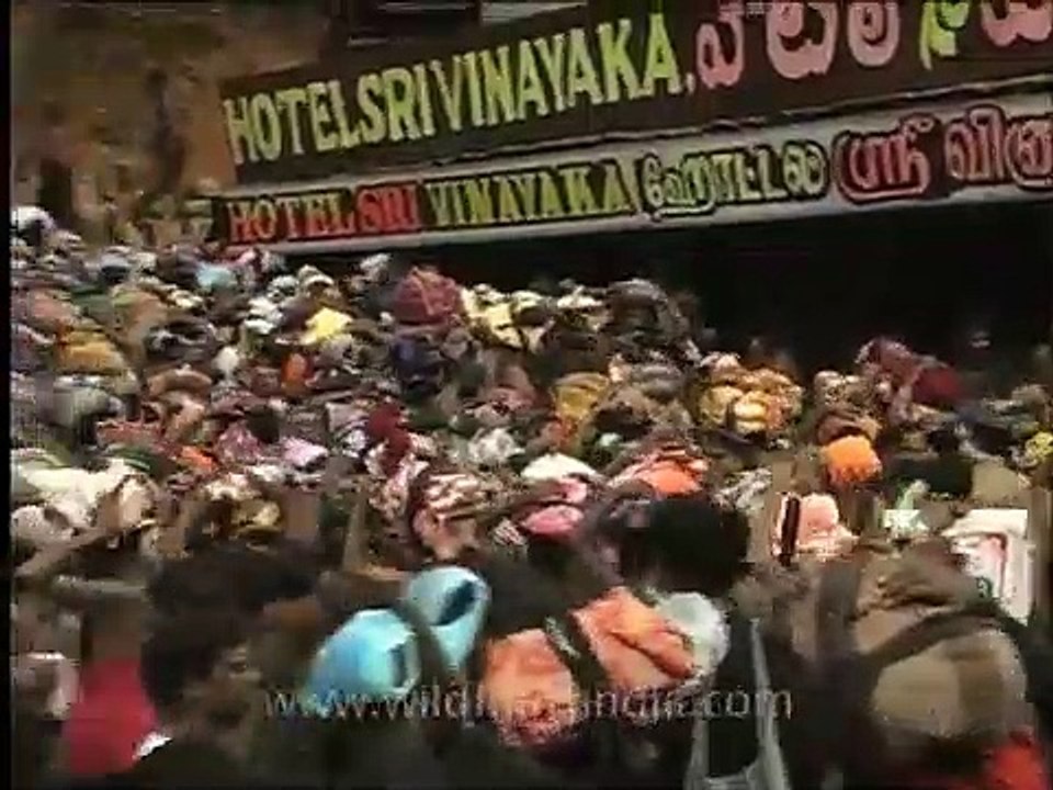Heavy rush at Sabarimala temple precincts