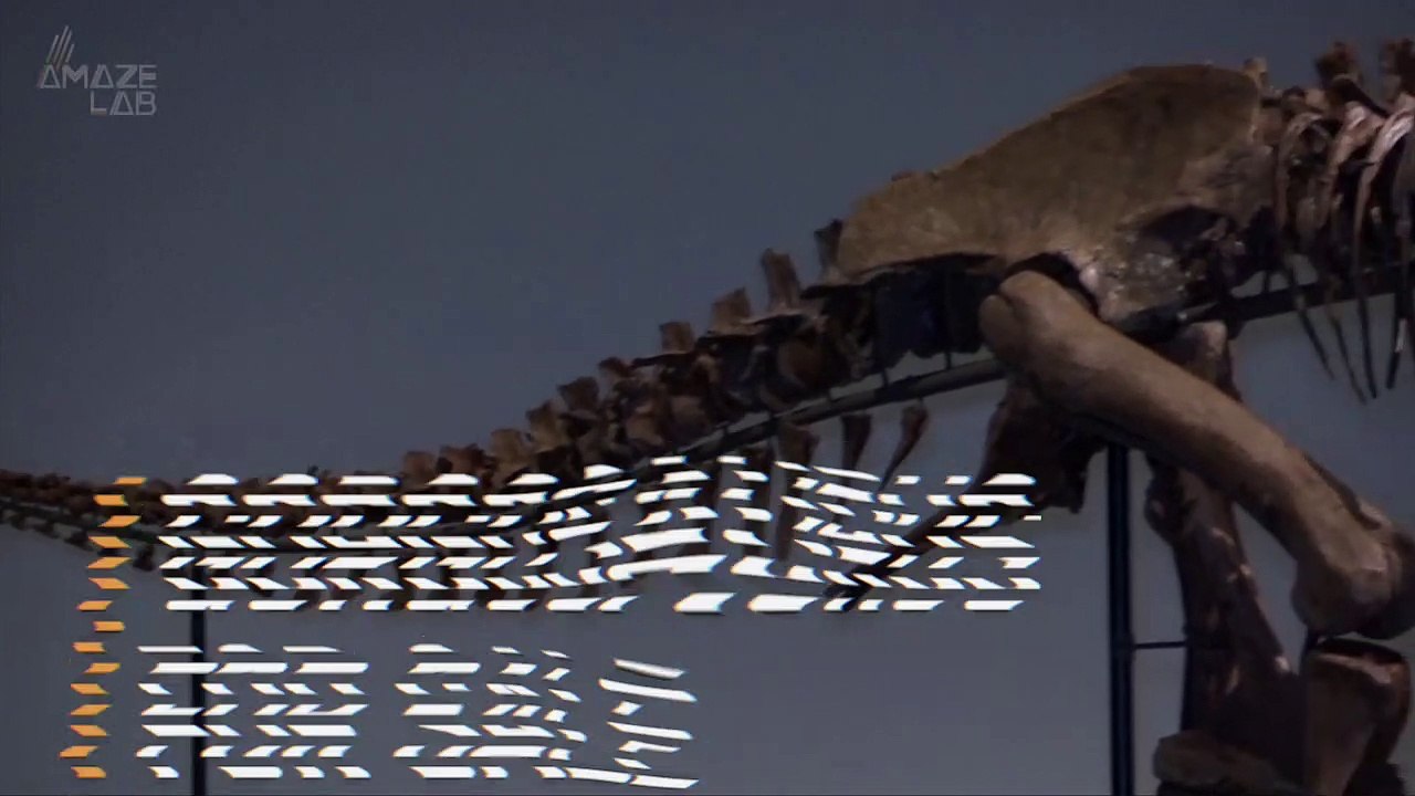 This Rare, Complete Gorgosaurus Fossil Is About To Be Auctioned at Sotheby’s in NYC