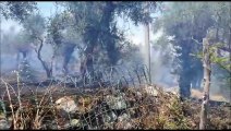 Incendio sul Monte Pisano, bruciano ulivi. Continuano i roghi in Toscana