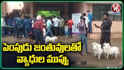 Awarness Programme Regarding Zoonotic Diseases In Dogs _ Rajendra Nagar _ V6 News