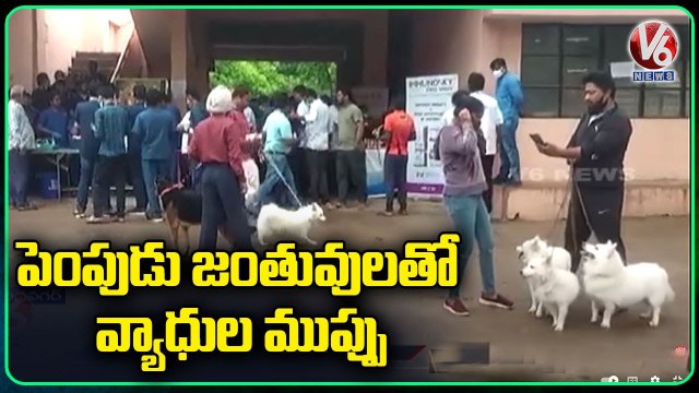 Awarness Programme Regarding Zoonotic Diseases In Dogs _ Rajendra Nagar _ V6 News