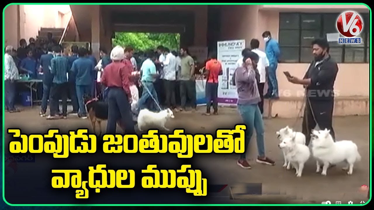 Awarness Programme Regarding Zoonotic Diseases In Dogs _ Rajendra Nagar _ V6 News